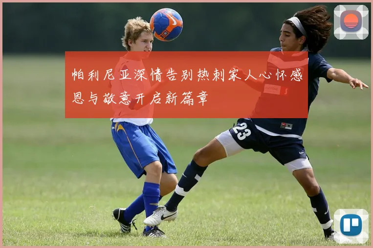 帕利尼亚深情告别热刺家人心怀感恩与敬意开启新篇章
